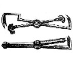 Dental Pelican Button