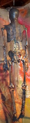 Bucky II Light Brown Coat