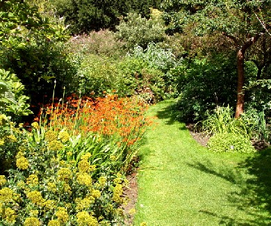 Chelsea Physic Garden