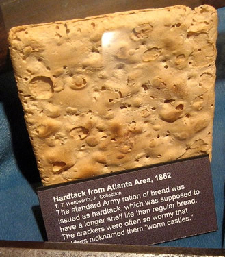 Hardtake With Weevil Holes