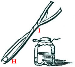 Pincers, cautery stone and bottle