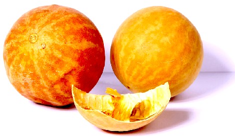 Citrullus Colocythus Fruit