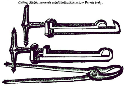 Cutting Forceps, Pare