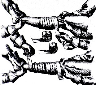 Dressing a Leg Neatly Scultetus