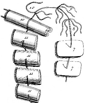 Dressings 7-11, Complex Fracture, Le Clerc