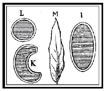 Dionis Vessicatories