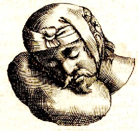 Head Dressing 1, Scultetus