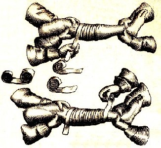 Leg Bandage Dressing Application Scultetus