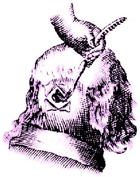 Using an Elevator to Raise the Skull