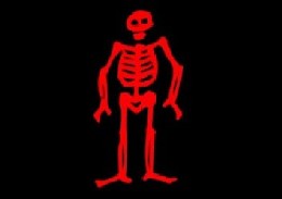 Crossed Bones Pirate Flag