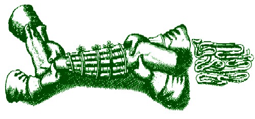 Fracture Tied With Ligatures and Tape