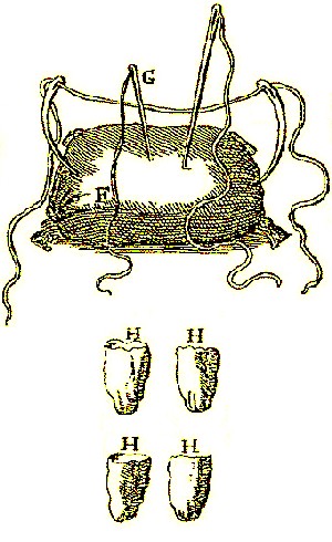 Intestinal Surgery Tools for Suturing Gut