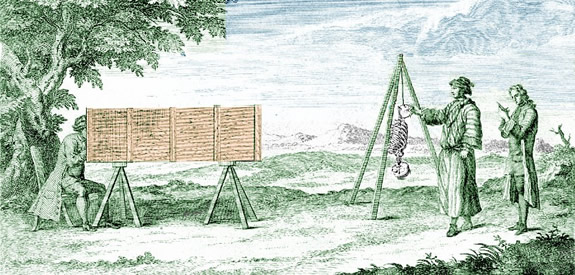 Cheseldon Drawing a Skeleton