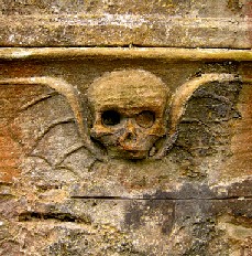 Winged Skull
