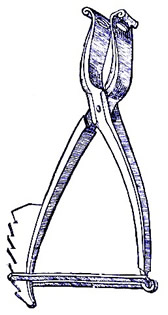 Locking Seton Forceps, Fabry