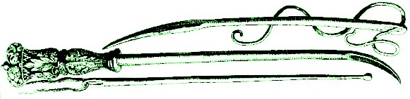 Seton Needles and Cautery Iron