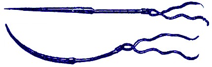 Pare's Suture Needles