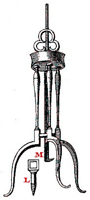 Terebra, Pierre Dionis