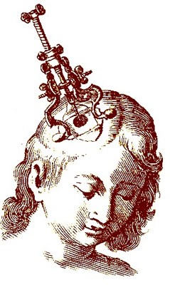 Terebra Use, Scultetus