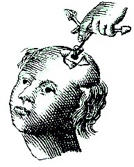 Trefoil Use, Scultetus