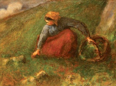 Woman Gathering Herbs